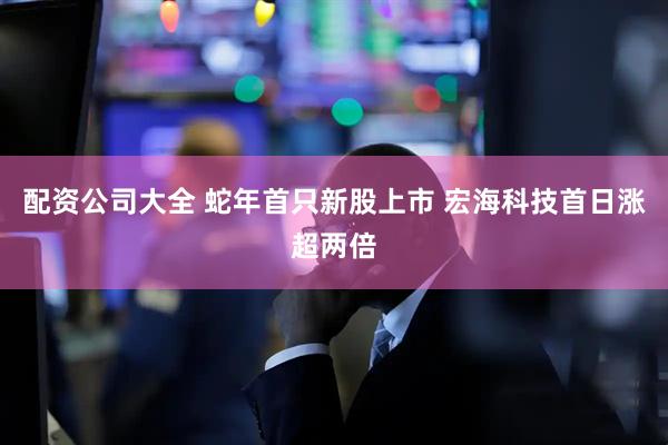 配资公司大全 蛇年首只新股上市 宏海科技首日涨超两倍